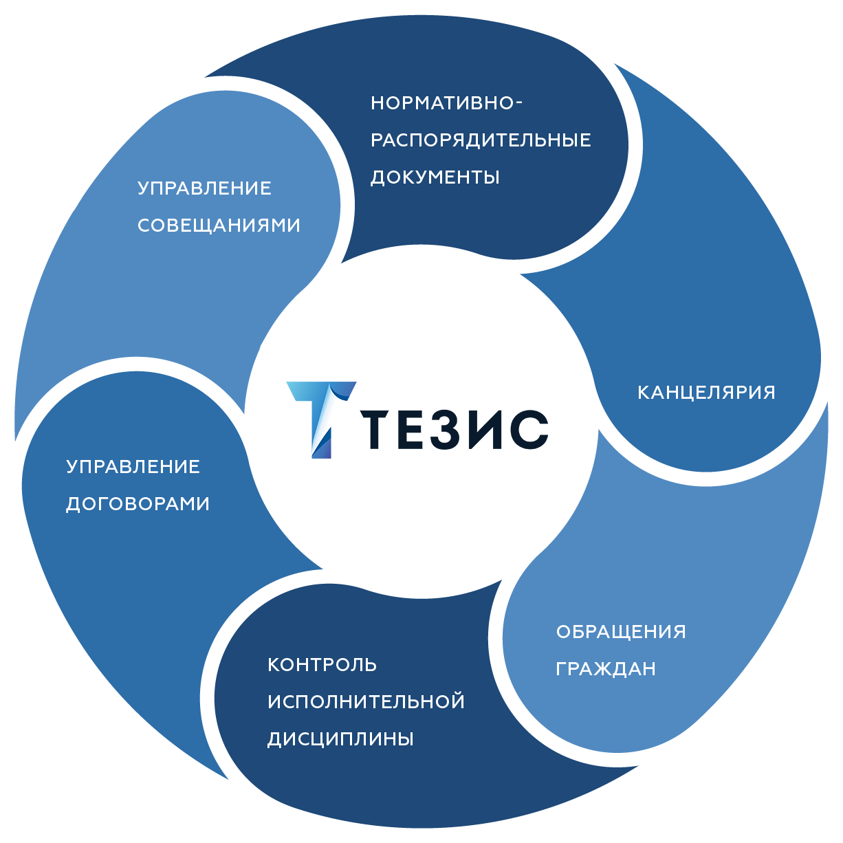 Тезис в госсекторе